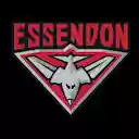 Essendon Theme  screen for extension Chrome web store in OffiDocs Chromium