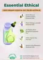 Free download Essential Ethical Nov free photo or picture to be edited with GIMP online image editor