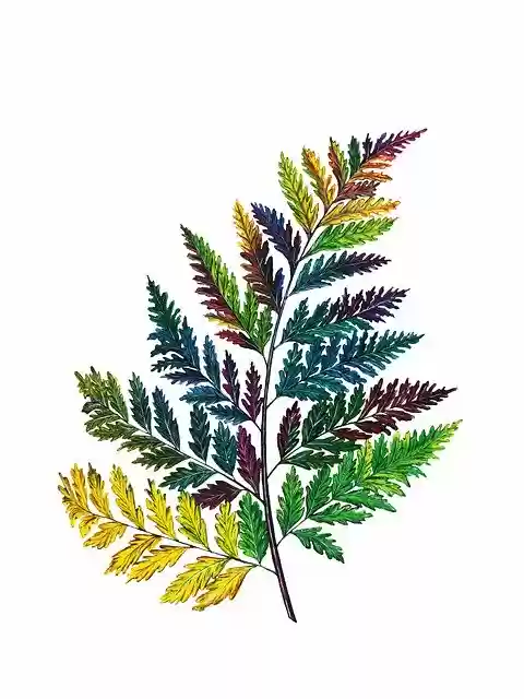 Free download Esthetics Aesthetics Aesthetic -  free free photo or picture to be edited with GIMP online image editor