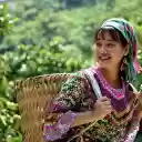 Ethnic girl  screen for extension Chrome web store in OffiDocs Chromium