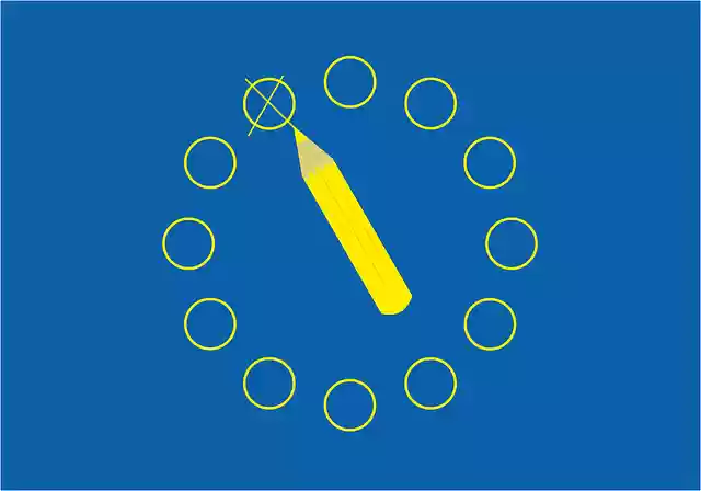 Free download European Elections Choice Europe - Free vector graphic on Pixabay free illustration to be edited with GIMP free online image editor