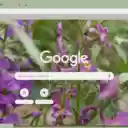Evening Stock  screen for extension Chrome web store in OffiDocs Chromium