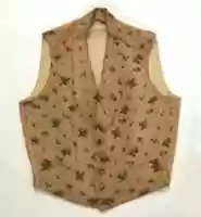Free download Evening vest free photo or picture to be edited with GIMP online image editor