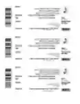 Бесплатно скачать шаблон билета на мероприятие DOC, XLS или шаблон PPT, который можно бесплатно редактировать с помощью LibreOffice онлайн или OpenOffice Desktop онлайн