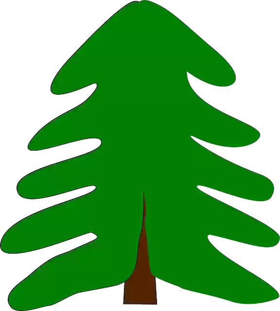 Free download Evergreen Spruce Fir - Free vector graphic on Pixabay free illustration to be edited with GIMP free online image editor