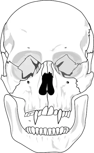 Free download Evil Skull Devil - Free vector graphic on Pixabay free illustration to be edited with GIMP free online image editor