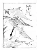বিনামূল্যে ডাউনলোড করুন Hokusais অঙ্কন বিনামূল্যে ছবি বা ছবি GIMP অনলাইন ইমেজ সম্পাদকের মাধ্যমে সম্পাদনা করার উদাহরণ