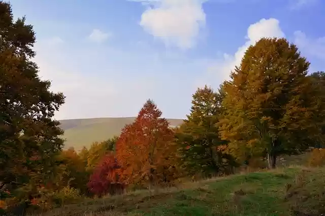 Free download excursion trees autumn mountain free picture to be edited with GIMP free online image editor