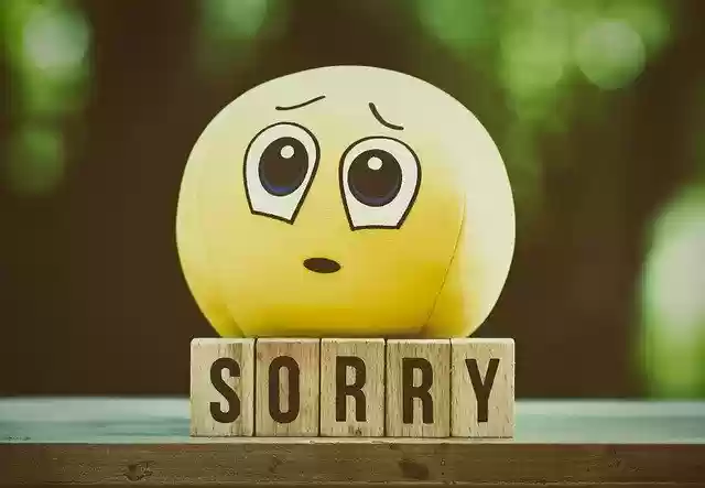 Free download excuse me sorry smiley cute free picture to be edited with GIMP free online image editor
