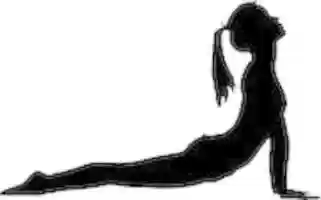 Free download exercise-2727123_960_720 free photo or picture to be edited with GIMP online image editor