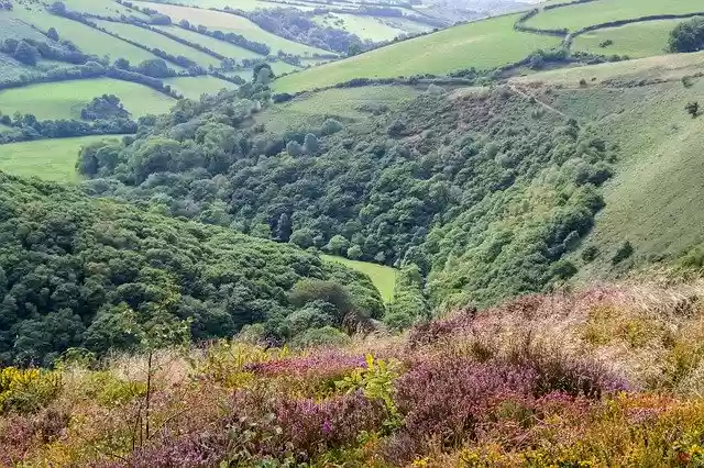 Free download Exmoor Landscape England -  free photo or picture to be edited with GIMP online image editor