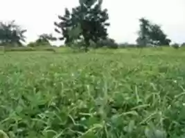 Free download EXPERTIS_BANGOU PAUL  free photo or picture to be edited with GIMP online image editor