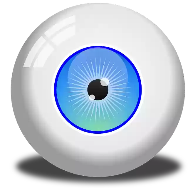 Free download Eye Eyeball Vision -  free illustration to be edited with GIMP free online image editor