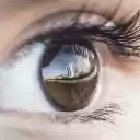 Eyes  screen for extension Chrome web store in OffiDocs Chromium