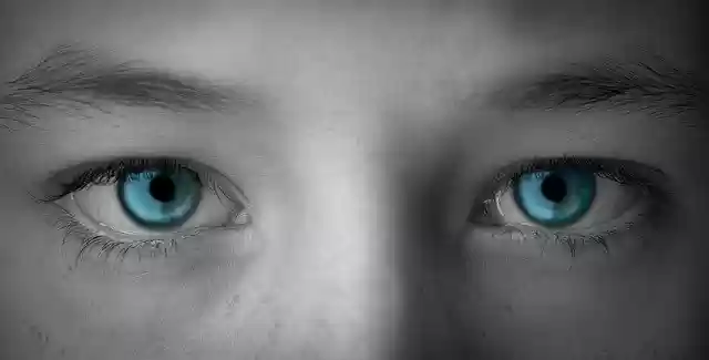 Free download eyes blue vision sight eyelashes free picture to be edited with GIMP free online image editor