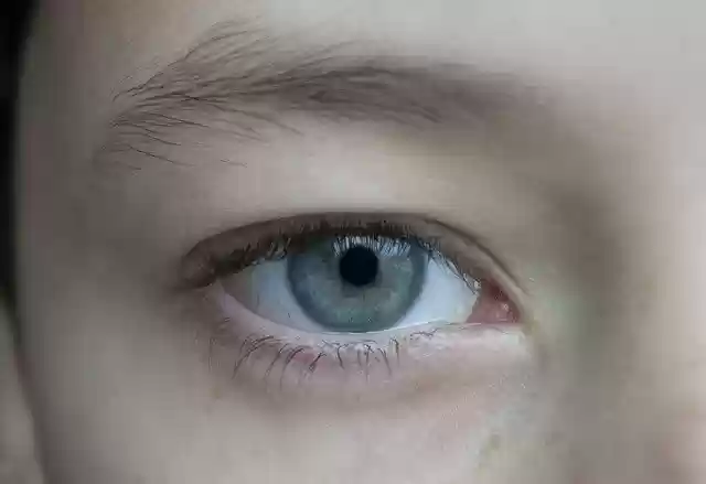 Free download eye vision sight eyelashes brows free picture to be edited with GIMP free online image editor