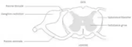 Free download F 1 free photo or picture to be edited with GIMP online image editor