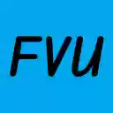 Facebook Ad Video Hd Url Exporter  screen for extension Chrome web store in OffiDocs Chromium