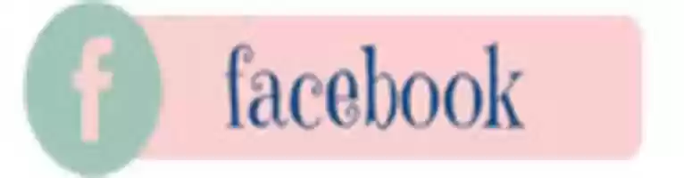Free download Facebook Reduzido 1 free photo or picture to be edited with GIMP online image editor