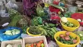 Free download Fair Buy Sale Vegetables -  free video to be edited with OpenShot online video editor