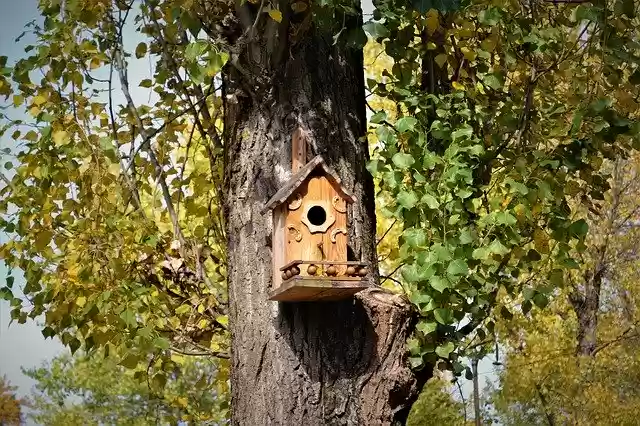 Free download Fall Autumn Birdhouse -  free photo or picture to be edited with GIMP online image editor