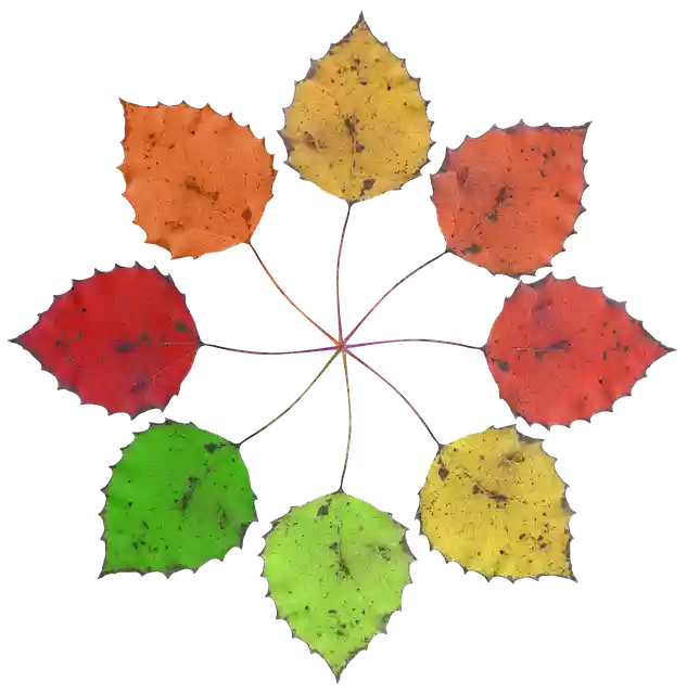 Free download Fall Autumn Leaves -  free free photo or picture to be edited with GIMP online image editor