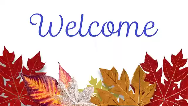 Free download Fall Leaves Autumn -  free photo or picture to be edited with GIMP online image editor