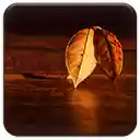 Fall Morning  screen for extension Chrome web store in OffiDocs Chromium