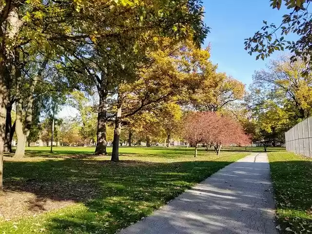 Free download Fall Park Autumn -  free photo or picture to be edited with GIMP online image editor