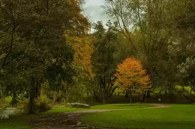Free download Fall Park Color -  free free photo or picture to be edited with GIMP online image editor
