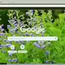 False Indigo  screen for extension Chrome web store in OffiDocs Chromium