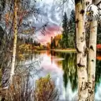 Free download FANARTS ADDON free photo or picture to be edited with GIMP online image editor