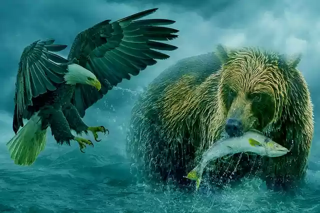 Free download Fantasy Animal Bear free photo template to be edited with GIMP online image editor