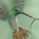 Fantasy Girl 1680x1050  screen for extension Chrome web store in OffiDocs Chromium