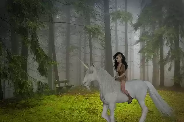 Free download Fantasy Unicorn Forest -  free illustration to be edited with GIMP free online image editor