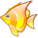 Fareast univ  screen for extension Chrome web store in OffiDocs Chromium