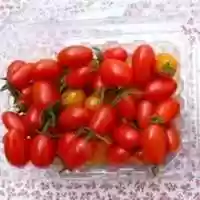 Free download farmerproduct free photo or picture to be edited with GIMP online image editor