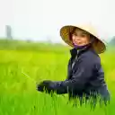 Farmers smile  screen for extension Chrome web store in OffiDocs Chromium
