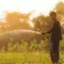 Farmer watering flowers  screen for extension Chrome web store in OffiDocs Chromium