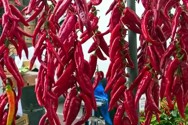 Free download Farm Market Peppers Red Food -  free photo or picture to be edited with GIMP online image editor