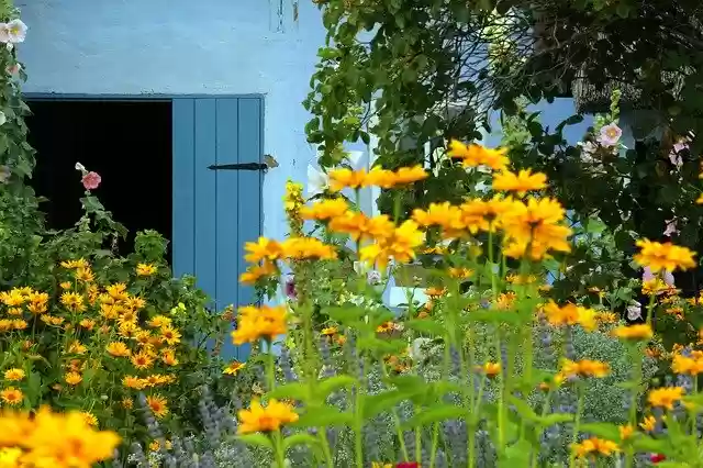 Free download Farm Thatched Roofs Cottage Garden -  free photo or picture to be edited with GIMP online image editor