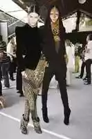 Free download Fashion models free photo or picture to be edited with GIMP online image editor