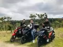 Free download FB IMG 1582428333589 free photo or picture to be edited with GIMP online image editor