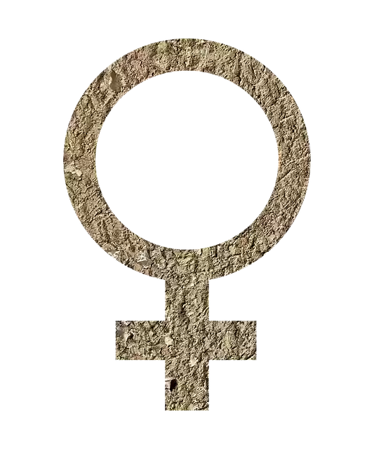 Free download Female Sign Icon -  free illustration to be edited with GIMP free online image editor