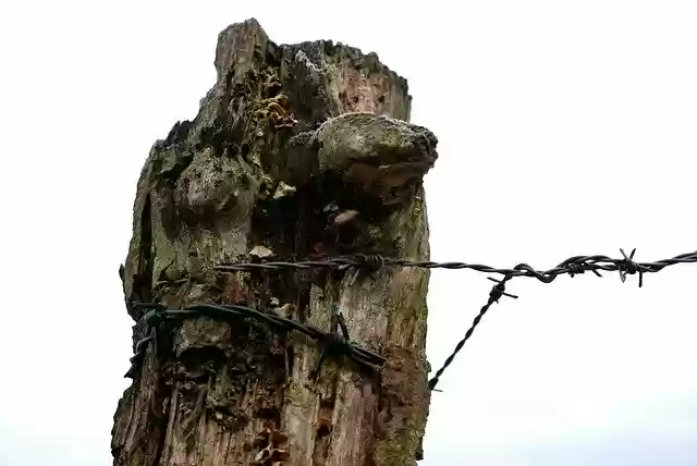Free download Fence Barbed Wire Demarcation -  free free photo or picture to be edited with GIMP online image editor