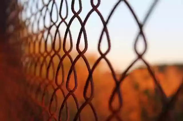 Free download Fence Metal Thread -  free photo or picture to be edited with GIMP online image editor