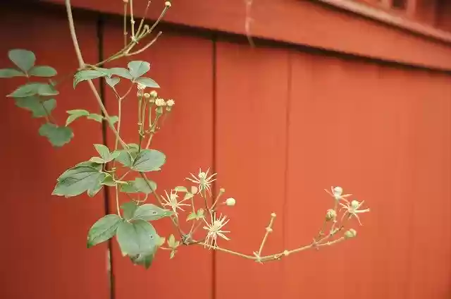 Free download Fence Red Barn -  free photo or picture to be edited with GIMP online image editor
