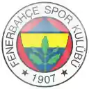 Fenerbahçe 1907 Theme  screen for extension Chrome web store in OffiDocs Chromium
