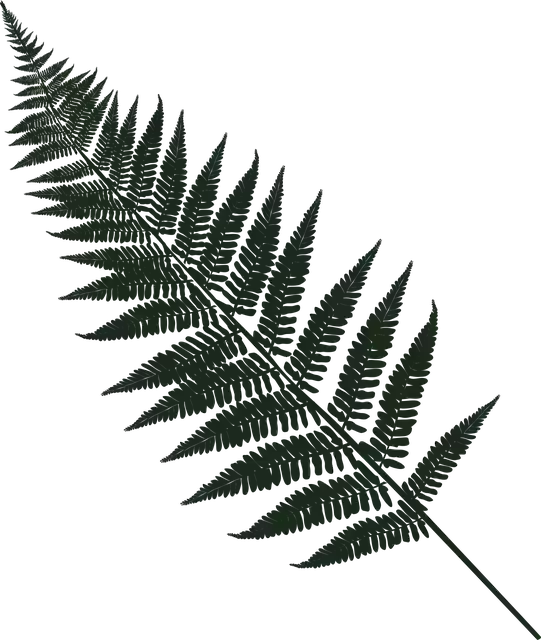 Free download Fern Leaf Forest - Free vector graphic on Pixabay free illustration to be edited with GIMP free online image editor