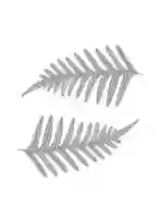 Free download Ferns free photo or picture to be edited with GIMP online image editor